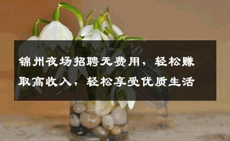 锦州夜场招聘无费用，轻松赚取高收入，轻松享受优质生活