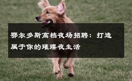 鄂尔多斯高档夜场招聘：打造属于你的璀璨夜生活