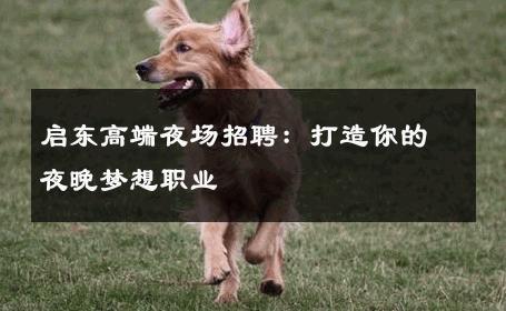 启东高端夜场招聘：打造你的夜晚梦想职业