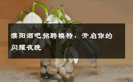 濮阳酒吧招聘模特，开启你的闪耀夜晚
