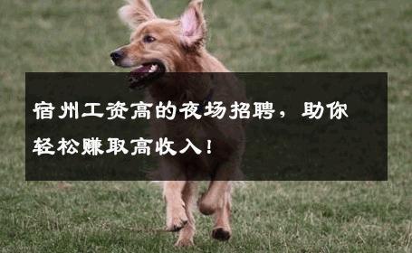 宿州工资高的夜场招聘，助你轻松赚取高收入！
