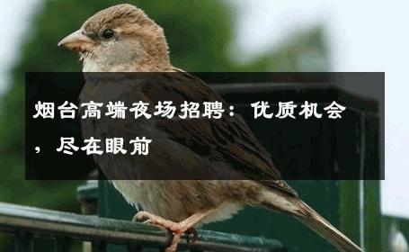 烟台高端夜场招聘：优质机会，尽在眼前