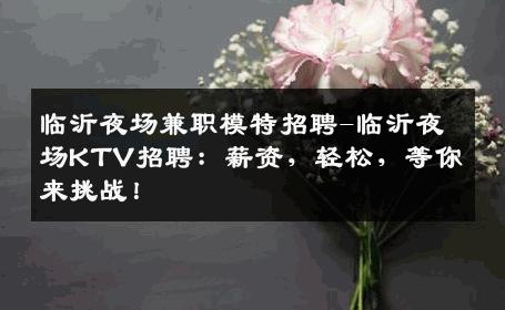 临沂夜场兼职模特招聘-临沂夜场KTV招聘：薪资，轻松，等你来挑战！