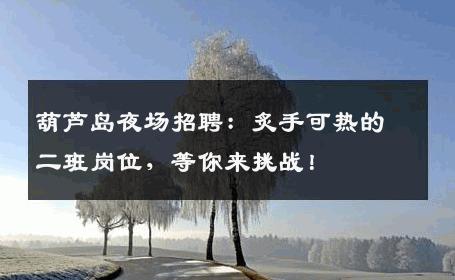 葫芦岛夜场招聘：炙手可热的二班岗位，等你来挑战！