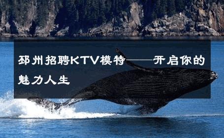 邳州招聘KTV模特——开启你的魅力人生