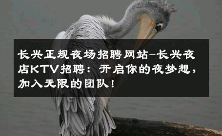 长兴正规夜场招聘网站-长兴夜店KTV招聘：开启你的夜梦想，加入无限的团队！