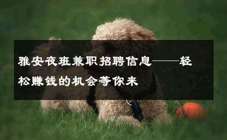 雅安夜班兼职招聘信息——轻松赚钱的机会等你来