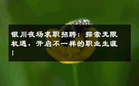 银川夜场求职招聘：探索无限机遇，开启不一样的职业生涯！