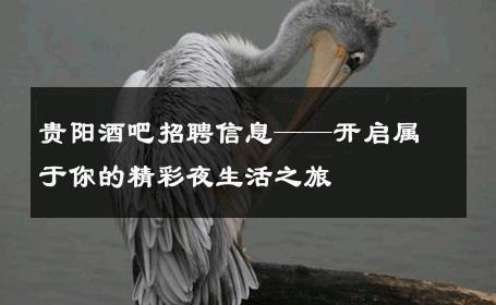 贵阳酒吧招聘信息——开启属于你的精彩夜生活之旅