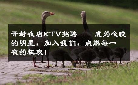 开封夜店KTV招聘——成为夜晚的明星，加入我们，点燃每一夜的狂欢！