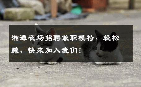 湘潭夜场招聘兼职模特，轻松赚，快来加入我们！