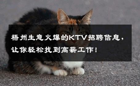梧州生意火爆的KTV招聘信息，让你轻松找到高薪工作！