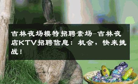 吉林夜场模特招聘素场-吉林夜店KTV招聘信息：机会，快来挑战！