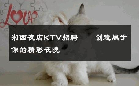 湘西夜店KTV招聘——创造属于你的精彩夜晚