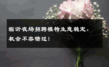 临沂夜场招聘模特生意稳定，机会不容错过！