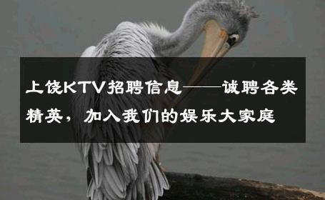 上饶KTV招聘信息——诚聘各类精英，加入我们的娱乐大家庭