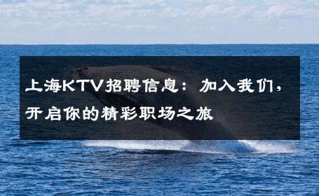 上海KTV招聘信息：加入我们，开启你的精彩职场之旅