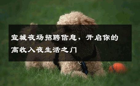 宣城夜场招聘信息，开启你的高收入夜生活之门
