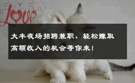 大丰夜场招聘兼职，轻松赚取高额收入的机会等你来！