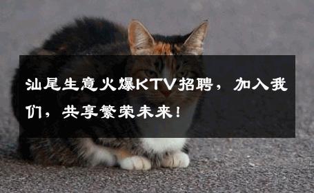 汕尾生意火爆KTV招聘，加入我们，共享繁荣未来！