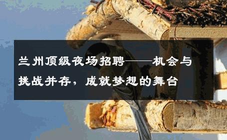 兰州顶级夜场招聘——机会与挑战并存，成就梦想的舞台