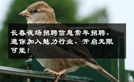 长春夜场招聘信息常年招聘，邀你加入魅力行业，开启无限可能！