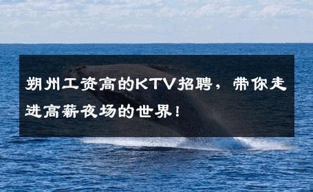 朔州工资高的KTV招聘，带你走进高薪夜场的世界！