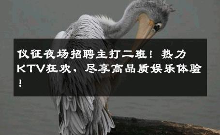 仪征夜场招聘主打二班！热力KTV狂欢，尽享高品质娱乐体验！