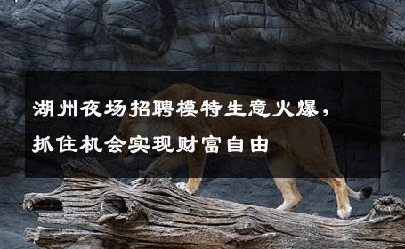 湖州夜场招聘模特生意火爆，抓住机会实现财富自由