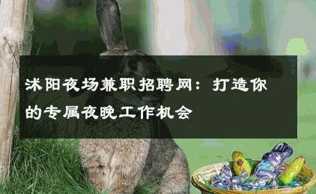沭阳夜场兼职招聘网：打造你的专属夜晚工作机会
