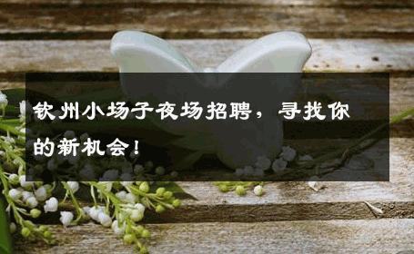 钦州小场子夜场招聘，寻找你的新机会！