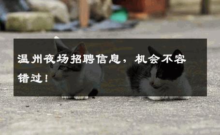 温州夜场招聘信息，机会不容错过！
