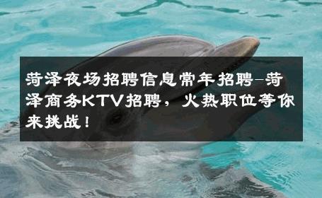 菏泽夜场招聘信息常年招聘-菏泽商务KTV招聘，火热职位等你来挑战！