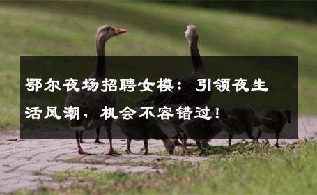 鄂尔夜场招聘女模：引领夜生活风潮，机会不容错过！