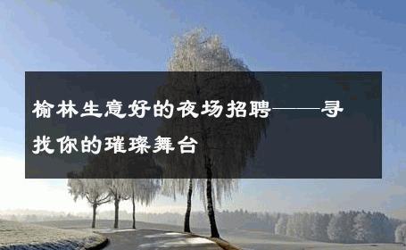 榆林生意好的夜场招聘——寻找你的璀璨舞台