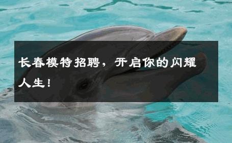 长春模特招聘，开启你的闪耀人生！