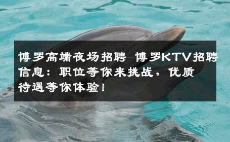 博罗高端夜场招聘-博罗KTV招聘信息：职位等你来挑战，优质待遇等你体验！