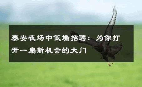 泰安夜场中低端招聘：为你打开一扇新机会的大门
