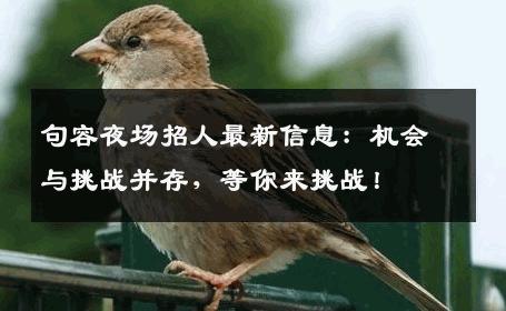 句容夜场招人最新信息：机会与挑战并存，等你来挑战！
