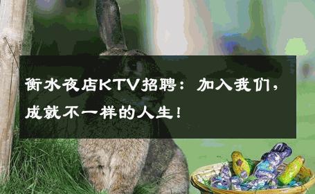 衡水夜店KTV招聘：加入我们，成就不一样的人生！