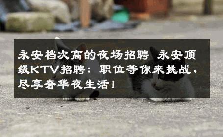 永安档次高的夜场招聘-永安顶级KTV招聘：职位等你来挑战，尽享奢华夜生活！