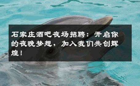 石家庄酒吧夜场招聘：开启你的夜晚梦想，加入我们共创辉煌！