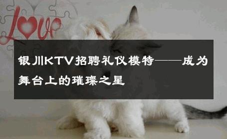 银川KTV招聘礼仪模特——成为舞台上的璀璨之星
