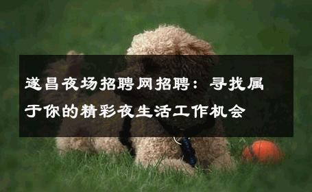 遂昌夜场招聘网招聘：寻找属于你的精彩夜生活工作机会