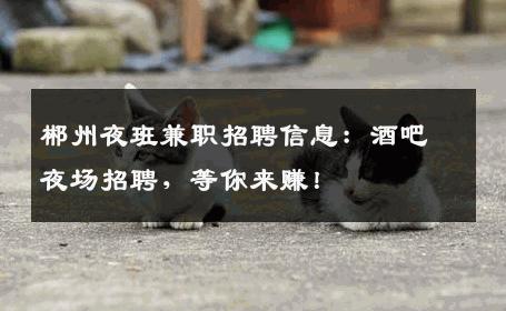 郴州夜班兼职招聘信息：酒吧夜场招聘，等你来赚！