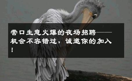 营口生意火爆的夜场招聘——机会不容错过，诚邀你的加入！