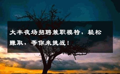 大丰夜场招聘兼职模特，轻松赚取，等你来挑战！