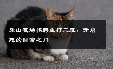 乐山夜场招聘主打二班，开启您的财富之门