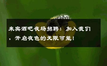来宾酒吧夜场招聘：加入我们，开启夜色的无限可能！