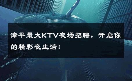 漳平最大KTV夜场招聘，开启你的精彩夜生活！